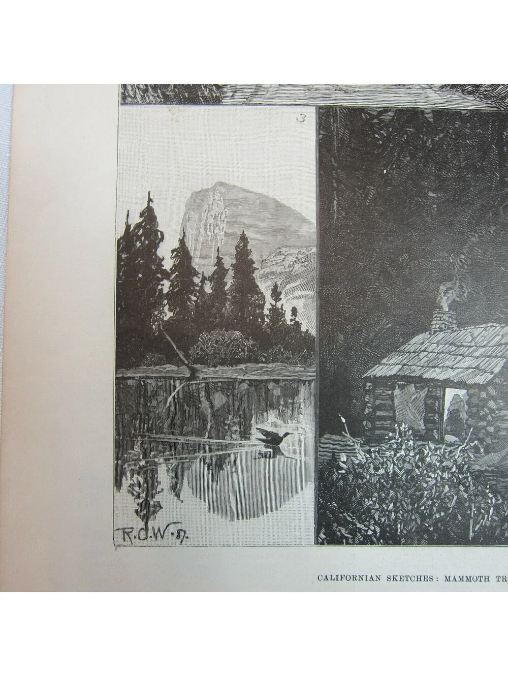 Antique 1888 Print Californian Sketches Mammoth Trees Rocks and Mountain Scenery